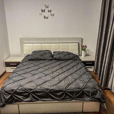 Pensiunea Brezu Sighetu Marmaţiei Exteriér fotografie