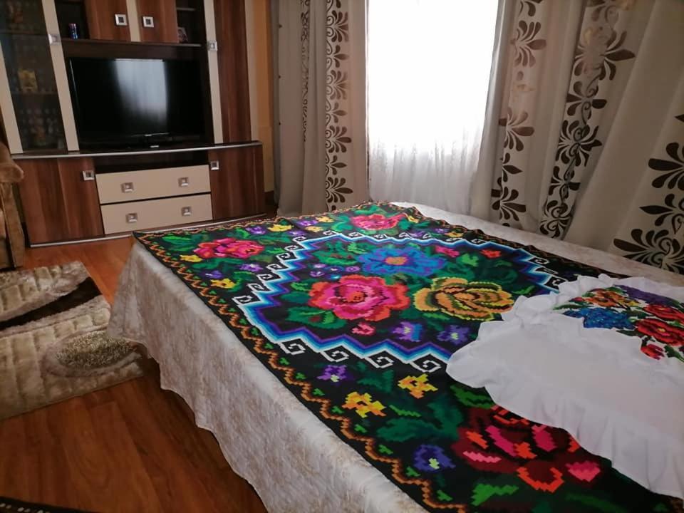 Pensiunea Brezu Sighetu Marmaţiei Exteriér fotografie