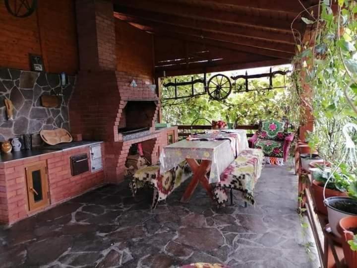 Pensiunea Brezu Sighetu Marmaţiei Exteriér fotografie