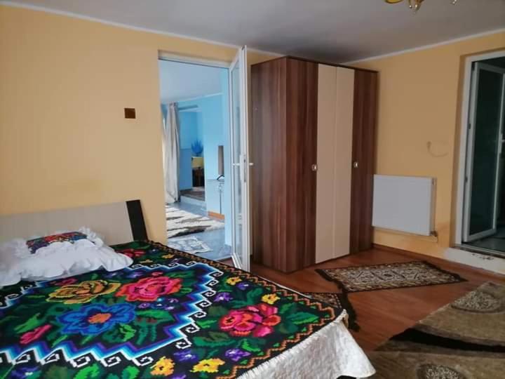 Pensiunea Brezu Sighetu Marmaţiei Exteriér fotografie