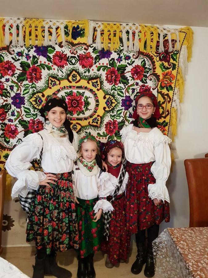 Pensiunea Brezu Sighetu Marmaţiei Exteriér fotografie
