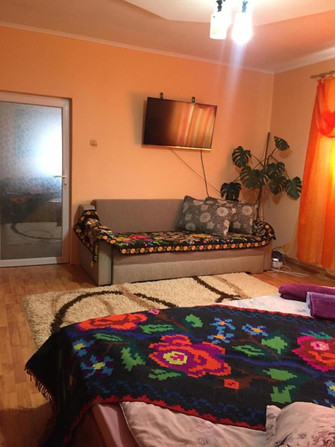 Pensiunea Brezu Sighetu Marmaţiei Exteriér fotografie
